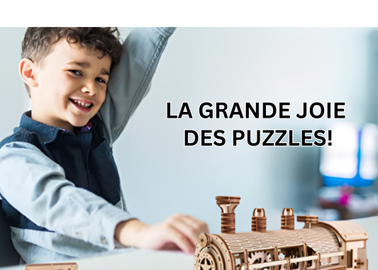 Puzzle 3D : Des jeux créatifs pour tous les âges